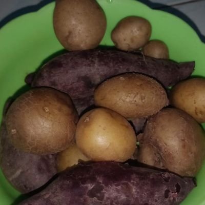 Incezgor's profile picture. Next time