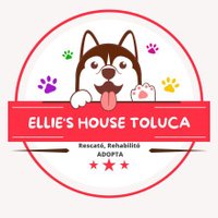 Ellie's HOUSE Toluca(@PoderAG_MH) 's Twitter Profile Photo