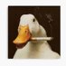 Quacken (@_quacken) Twitter profile photo Quacken (@_quacken) Twitter profile photo