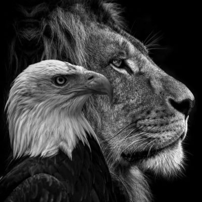 sven86198's profile picture. 