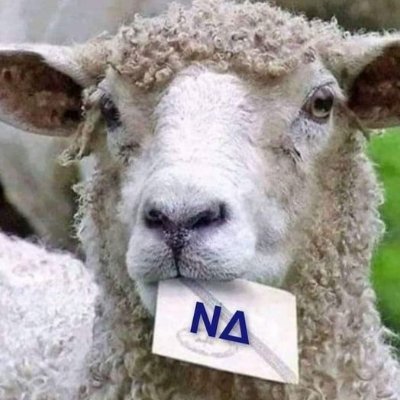 theoch144's profile picture. Πρώην DJ, μου αρέσουν οι άνθρωποι με χιούμορ, δεν ανέχομαι φασίστες, λατρεύω τα ζώα, αγανακτώ με τη βία.