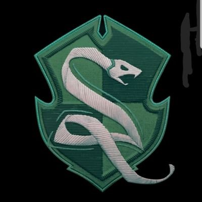 shadow slytherin 💚🐍さんのプロフィール画像
