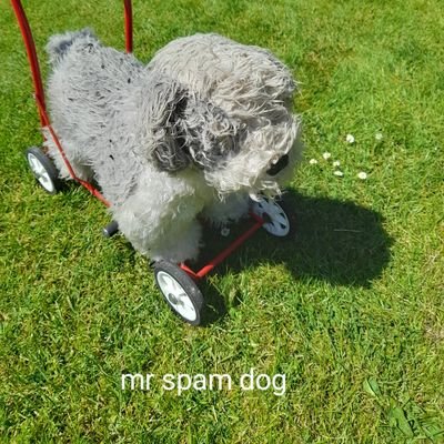 simonkay10's profile picture. 