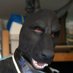 Dandetig3r (@thedandetig3r) Twitter profile photo Dandetig3r (@thedandetig3r) Twitter profile photo