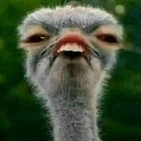 ... (@halaahm11262176) Twitter profile photo