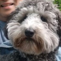 ManE (@mannye16) 's Twitter Profile