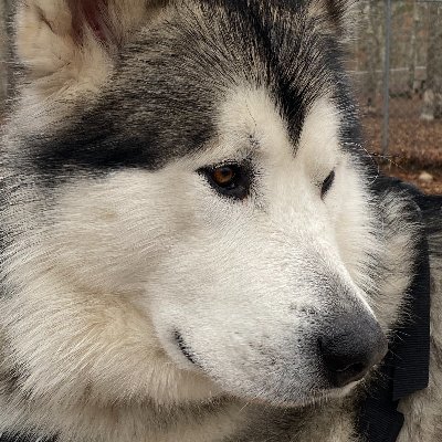 dcon304's profile picture. Waves, wind, and friends.