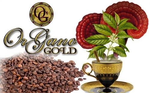 OG_OrGanoGold's profile picture. 