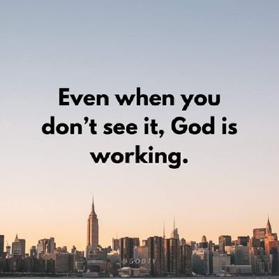 KOrdcat28523's profile picture. 