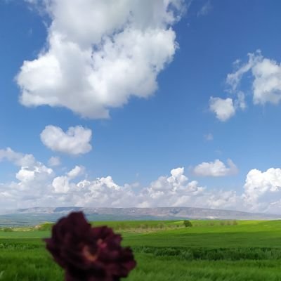 bêje,
çûyîn çi peyveke dirêj e