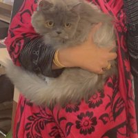 أ. سارّه بنت عمَر هوساوِي Ψ | سارازاد (@spantvsvk) 's Twitter Profile Photo