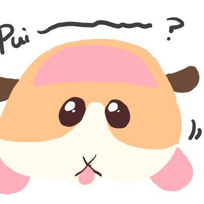 虹モルさんのプロフィール画像