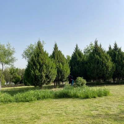 onlynow2's profile picture. 我是一个人