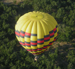 theMusician5044's profile picture. Husband, Teacher, Web Developer.