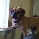 Nick Stern - @stern_nick - Twitter