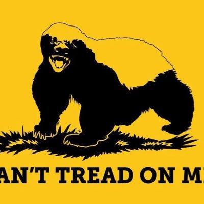 HungryHoneyBTC's profile picture. Always Hungry Never Thirsty