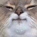 WAAAAAABS (@soggyminko) Twitter profile photo WAAAAAABS (@soggyminko) Twitter profile photo
