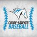 Colby-Sawyer Baseball (@CSCBaseball1) Twitter profile photo