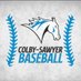 Colby-Sawyer Baseball (@cscbaseball1) Twitter profile photo Colby-Sawyer Baseball (@cscbaseball1) Twitter profile photo