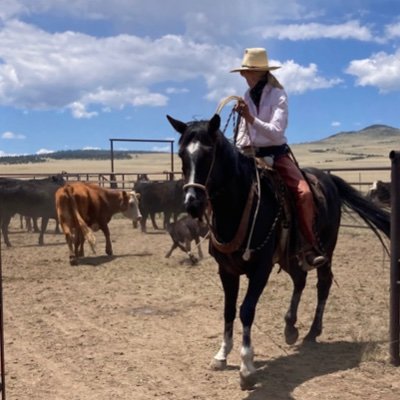 Semi-arid grazier trying to bring more life to land. Biodiversity, wetlands, cows.