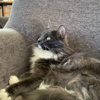 teshbek (@teshbek) 's Twitter Profile