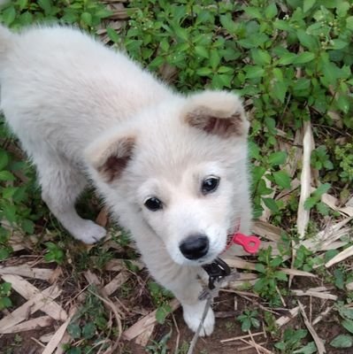 wufengzhao1's profile picture. 没有描述