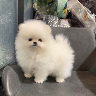 LinaSmith36670's profile picture. 