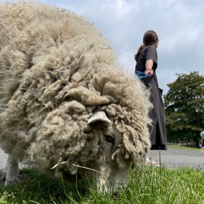 1224Moeno's profile picture. 🐑🐑🐑🐑🐑