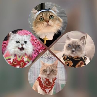 アリスさんのプロフィール画像