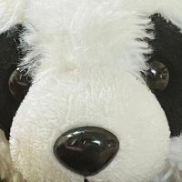 りゅう (@ryuhawks1988) Twitter profile photo