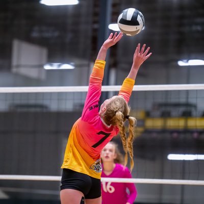 Taylor Wold Profile