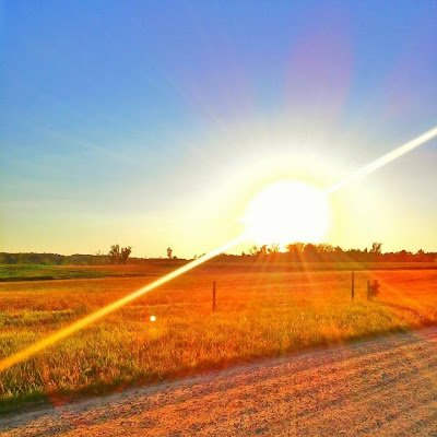 Eagle237831's profile picture. 