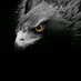 Leko_Dx (@dmdan3) Twitter profile photo Leko_Dx (@dmdan3) Twitter profile photo