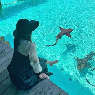 mikeymikemike75's profile picture. 