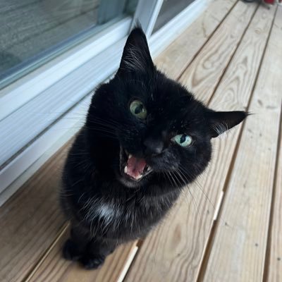 Zdustさんのプロフィール画像