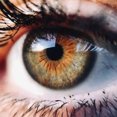 JamWaseem338's profile picture. 