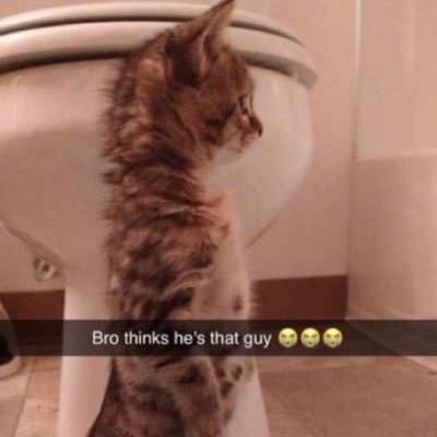 scalpy_boyMihi's profile picture. Med student / Novice trader