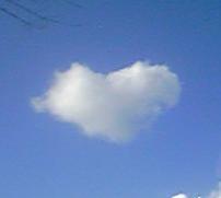 他人を笑顔に出来る方を最大級に尊敬。好き→空 星 樹 水辺 たぬき 鳥 猫 色鉛筆 ゲーム セカオワ Snow Man /指定難病5年目