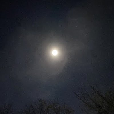 Yourbaequeenbee's profile picture. 