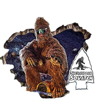 onewheelsquatch Profile Picture