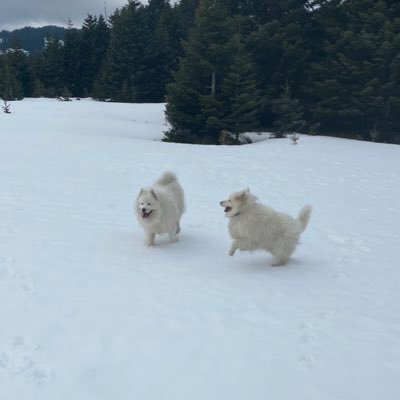 yettigari112's profile picture. DM🚫engel sebebidir‼️ Everyone wants, happiness. No one wants pain. But you can’t have a rainbow without a little rain.