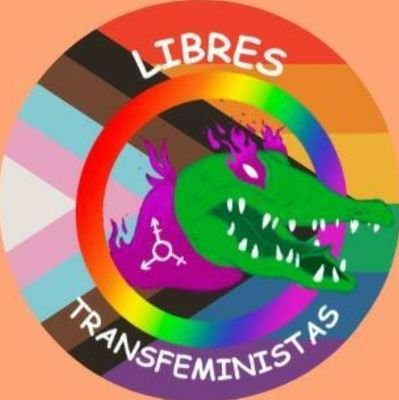 🏳️‍🌈 Colectiva Transfeminista de Paso de los Libres, Corrientes. 💚