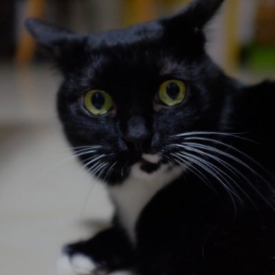 Hydsonsz's profile picture. 