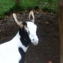 Thomas Hooper - @Hooper1121 - Twitter