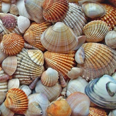 Junebug58392730's profile picture. 