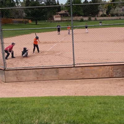 Colorado, baseball, basketball