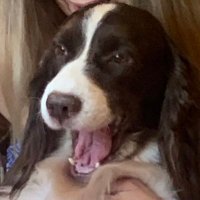 Chris McKay (@crizzeve8) 's Twitter Profile