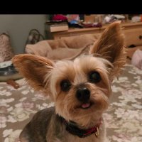 Missy (@michelledelnigr) 's Twitter Profile Photo