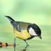 Pranjal Ojha (@pranjalojh99327) Twitter profile photo