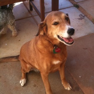 Sycko1's profile picture. There is no god, stop deluding yourself you morons!